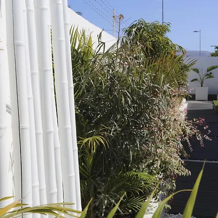 The Vintage Club Caters To Gay Men San Bartolome de Tirajana (Gran Canaria)